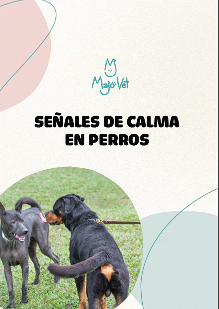 Guía: Señales de calma en perros