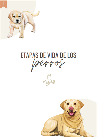 eBook: Etapas de vida en los perros